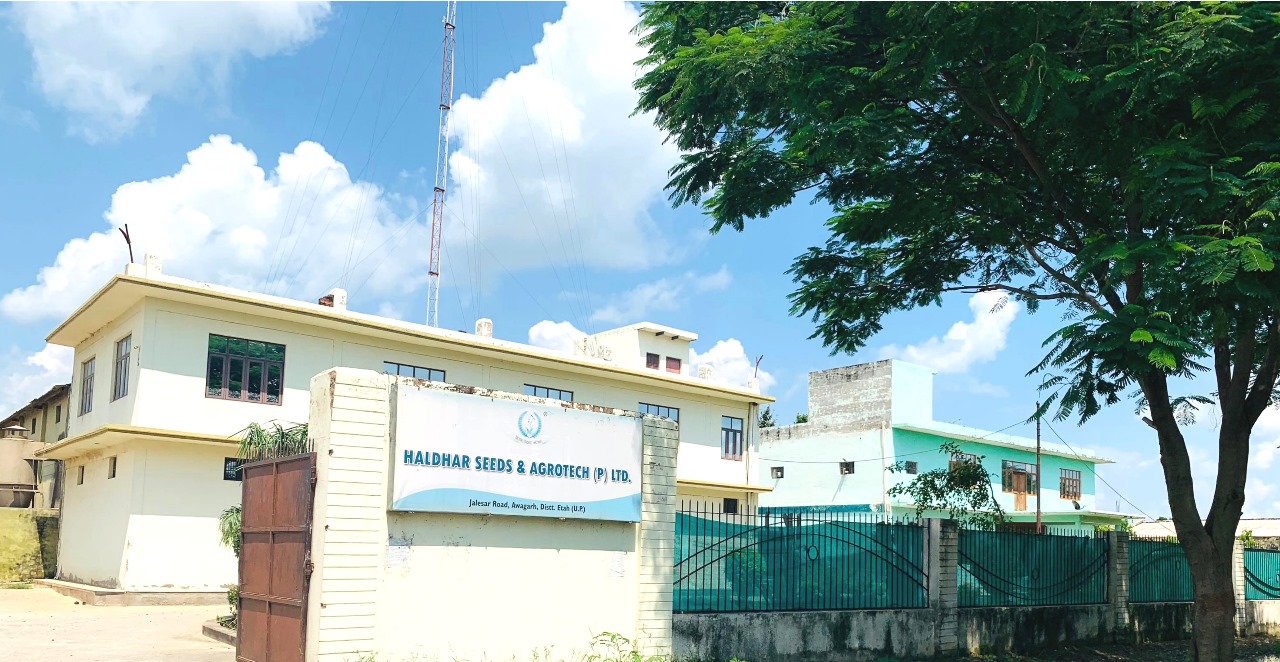 Best Way to Do Eco and Agriculture